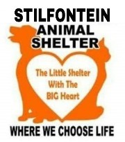 Matalosana Stilfontein Animal Shelter